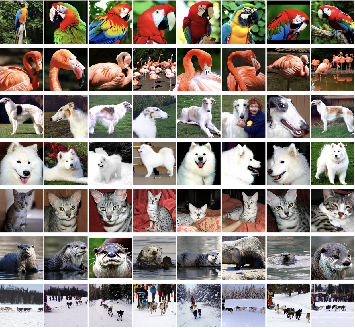 sampled class-conditioned images from REED