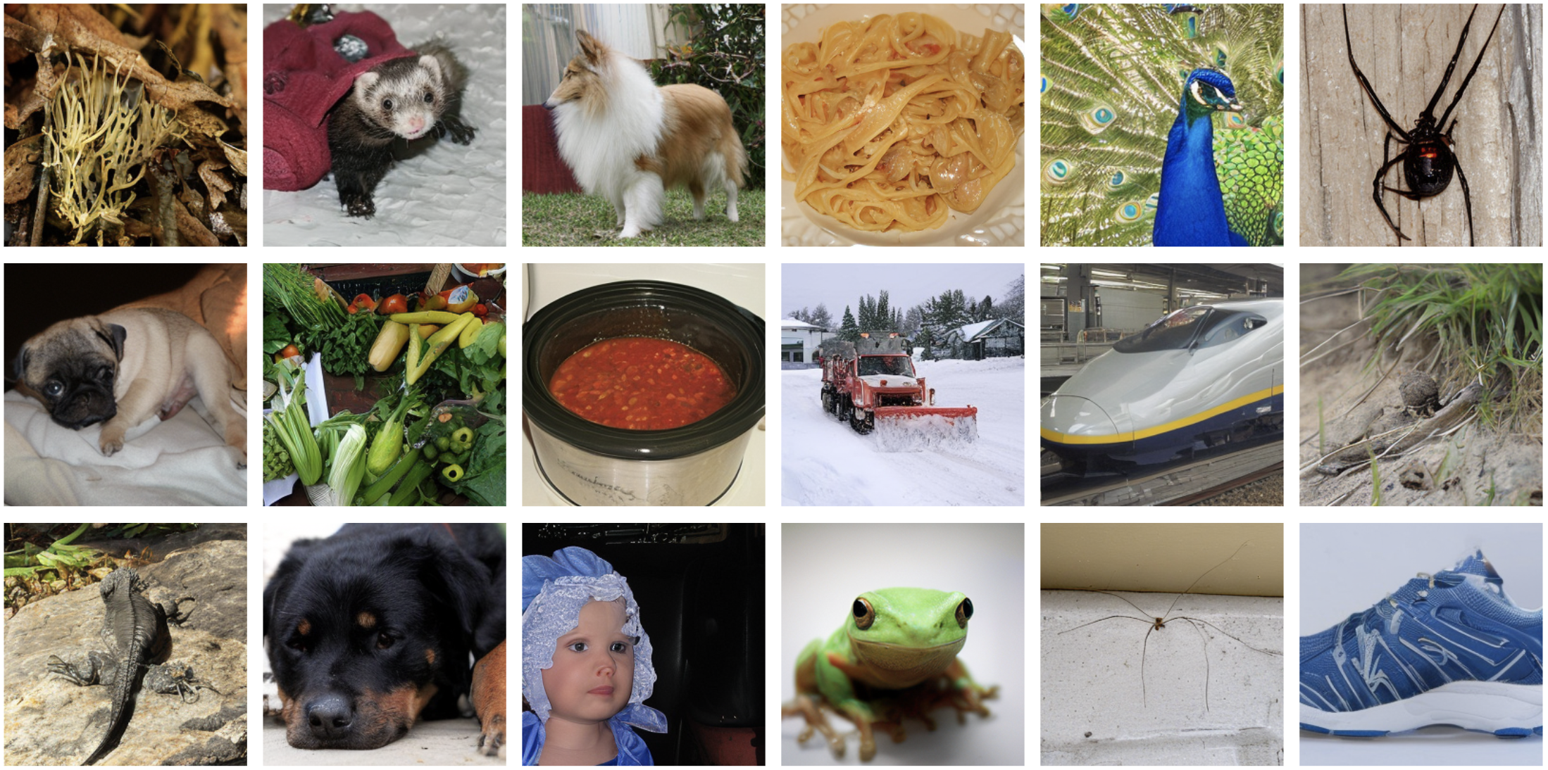 sampled images from REED